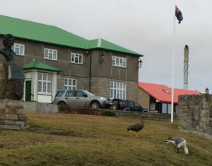 Falklands